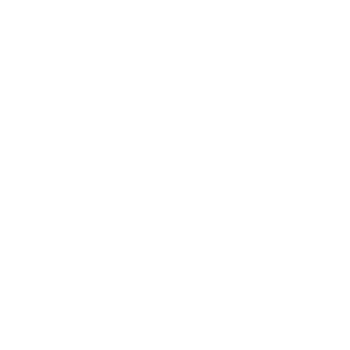 SICHERHEITSDIENST WINTERTHUR